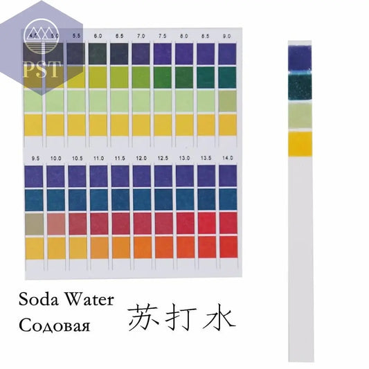 100 Strips/box  pH Test Strips 0-14 Scale Premium Litmus Tester Paper Ideal for Test pH Level of Water 40%Off       PST PS Tradings