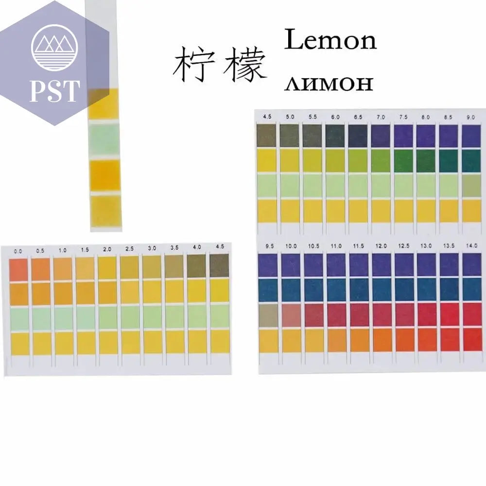 100 Strips/box  pH Test Strips 0-14 Scale Premium Litmus Tester Paper Ideal for Test pH Level of Water 40%Off       PST PS Tradings