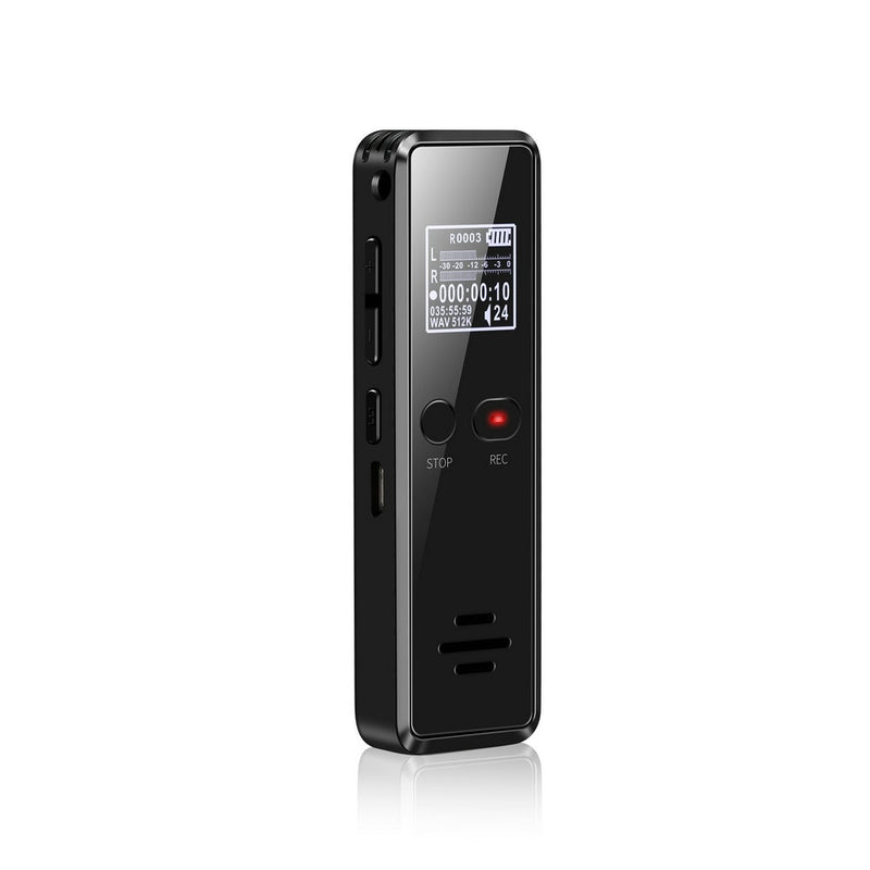 Noise Reduction Voice Activated Audio Recorder