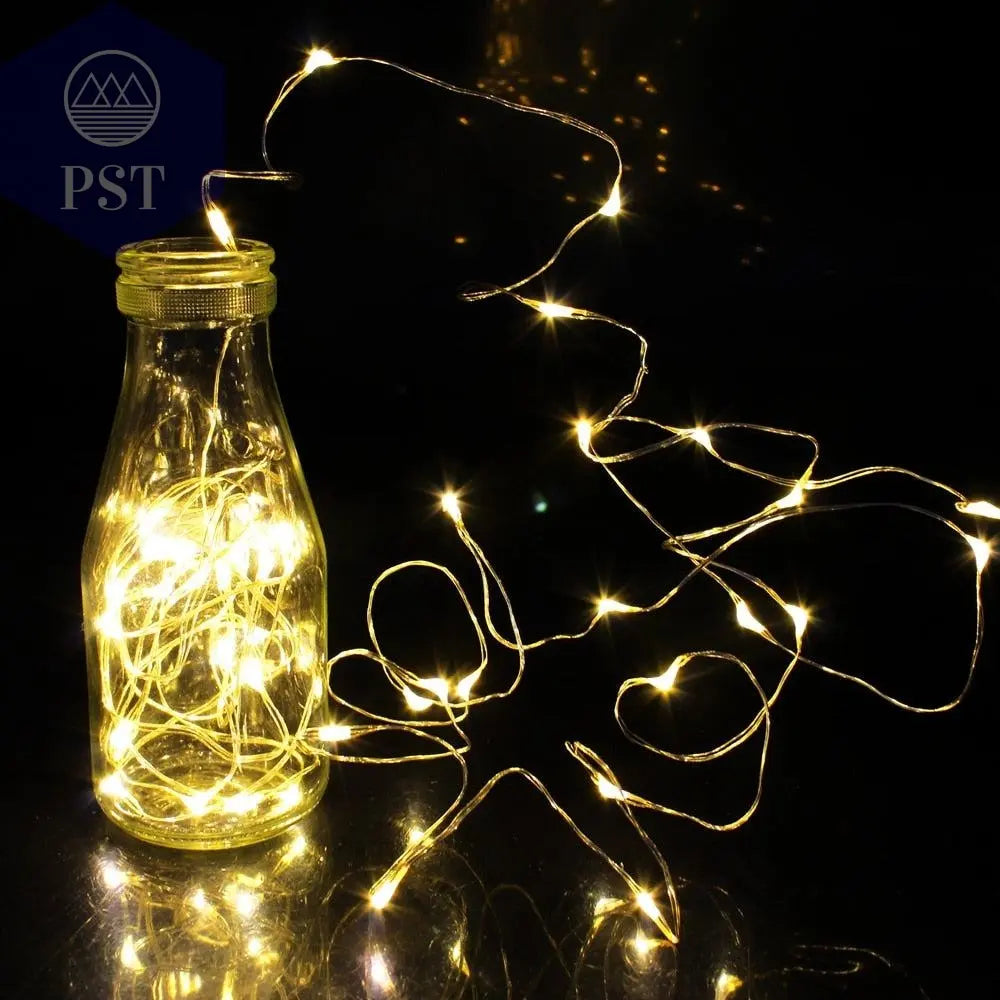 Copper Wire LED String lights       PST PS Tradings