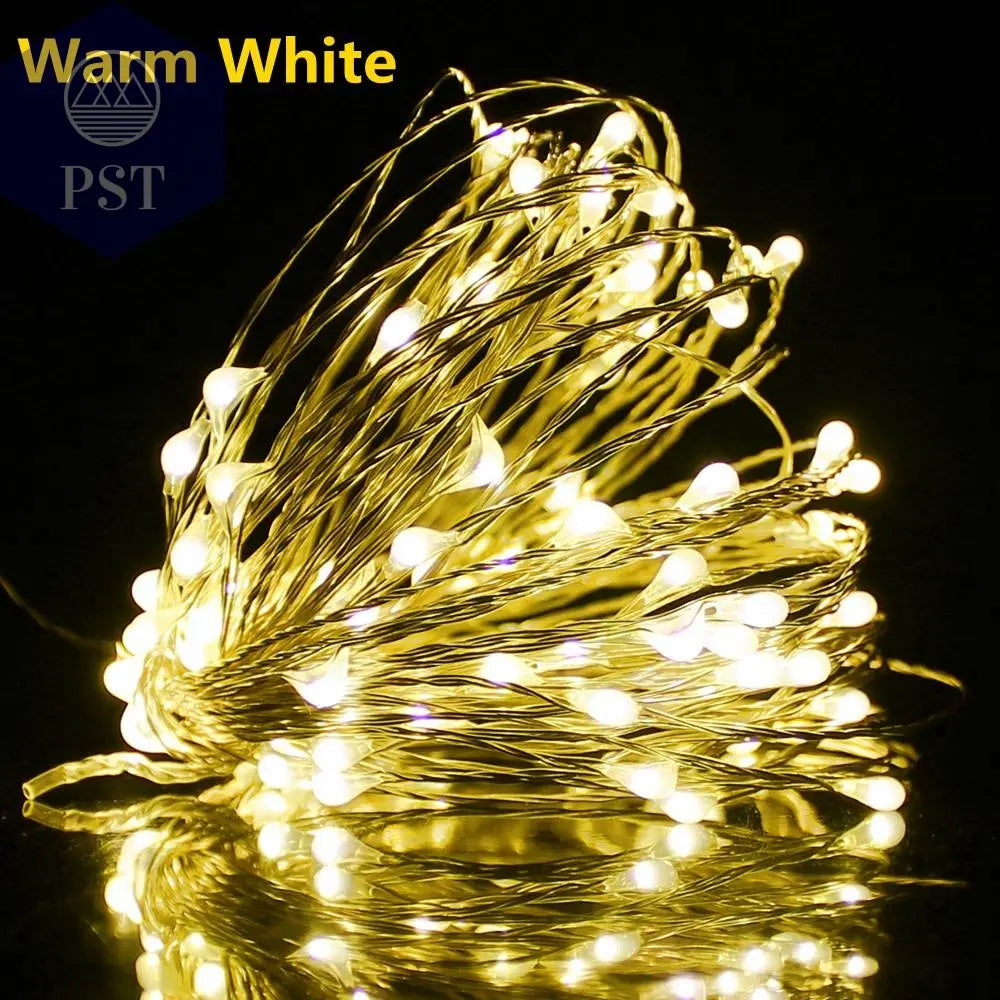 Copper Wire LED String lights       PST PS Tradings