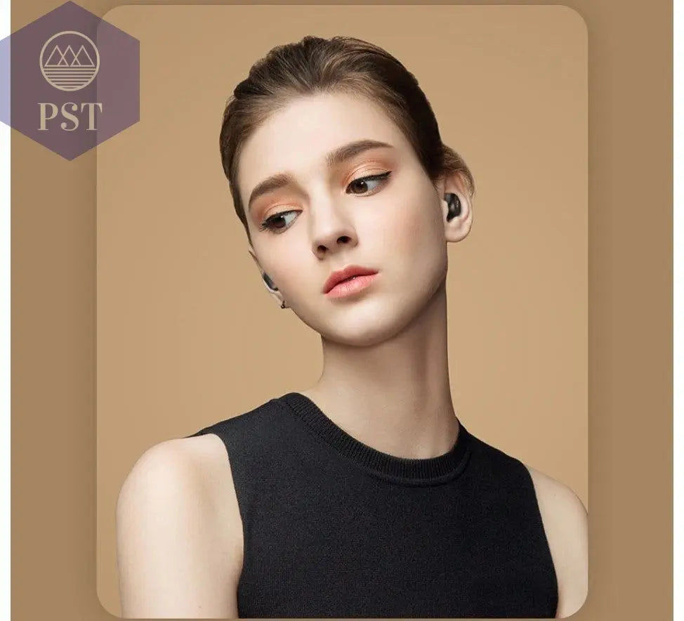 Dual Microphone Bluetooth Earphones with Charging Box       PST PS Tradings