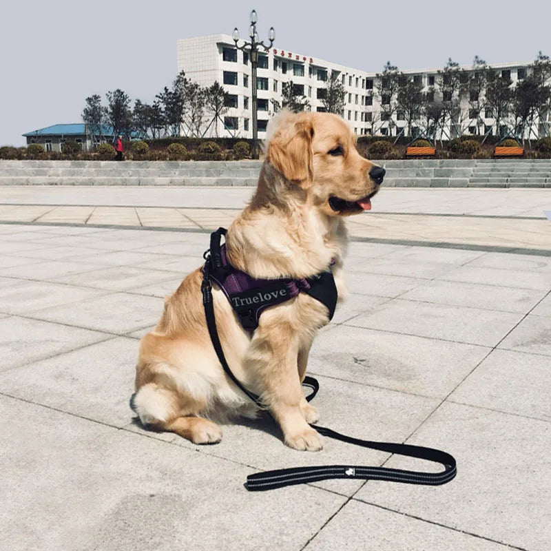 Truelove Soft Padded Mesh Dog Leash 3M Reflective Nylon Dog Leads Dog Pet Leash 11 Color 110cm Length Walking Training - PST PS Tradings