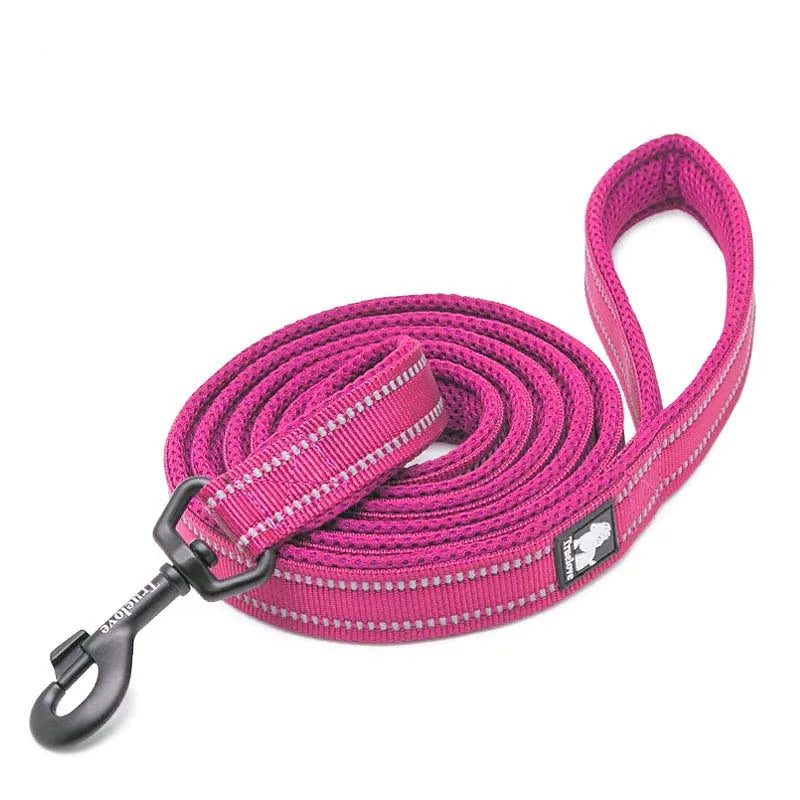 Truelove 200Cm Nylon Dog Lead Leash Running Reflective Dog Training Leash Purple Pet Leash For Small Large Dogs Correa Perro - PST PS Tradings