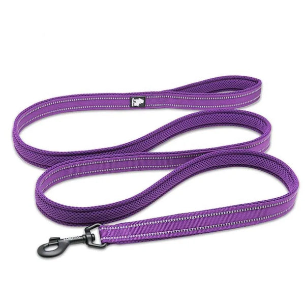 Truelove 200Cm Nylon Dog Lead Leash Running Reflective Dog Training Leash Purple Pet Leash For Small Large Dogs Correa Perro - PST PS Tradings