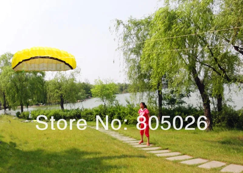 free shipping 2.5m dual Line Stunt power Kite soft kite Parafoil kite surf flying outdoor fun sports kites kiteboard factory koi