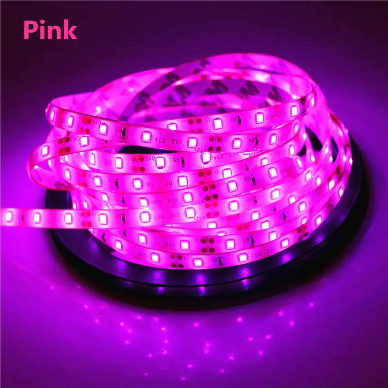 2835 SMD led streifen licht DC12V 5M 300LEDs flexible band band beleuchtung Weiß Warm weiß Rot Grün Blau gelb Rosa RGB