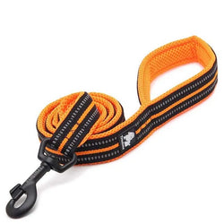 Truelove Soft Padded Mesh Dog Leash 3M Reflective Nylon Dog Leads Dog Pet Leash 11 Color 110cm Length Walking Training - PST PS Tradings