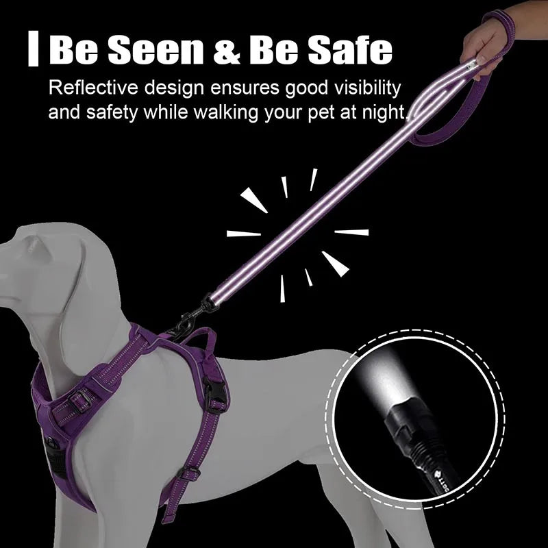 Truelove 200Cm Nylon Dog Lead Leash Running Reflective Dog Training Leash Purple Pet Leash For Small Large Dogs Correa Perro - PST PS Tradings