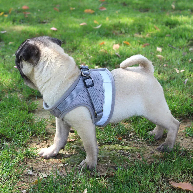 Reflective Safety Pet Dog Harness and Leash Set for Small Medium Dogs Cat Harnesses Vest Puppy Chest Strap Pug Chihuahua Bulldog - PST PS Tradings