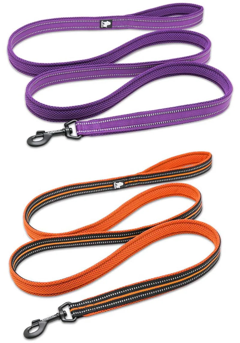 Truelove 200Cm Nylon Dog Lead Leash Running Reflective Dog Training Leash Purple Pet Leash For Small Large Dogs Correa Perro - PST PS Tradings