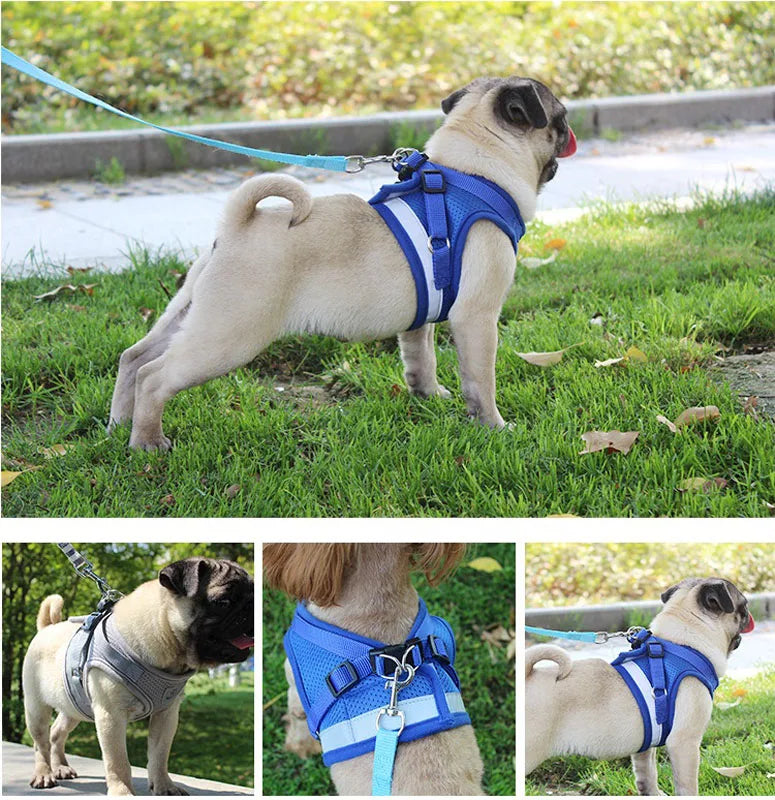 Reflective Safety Pet Dog Harness and Leash Set for Small Medium Dogs Cat Harnesses Vest Puppy Chest Strap Pug Chihuahua Bulldog - PST PS Tradings