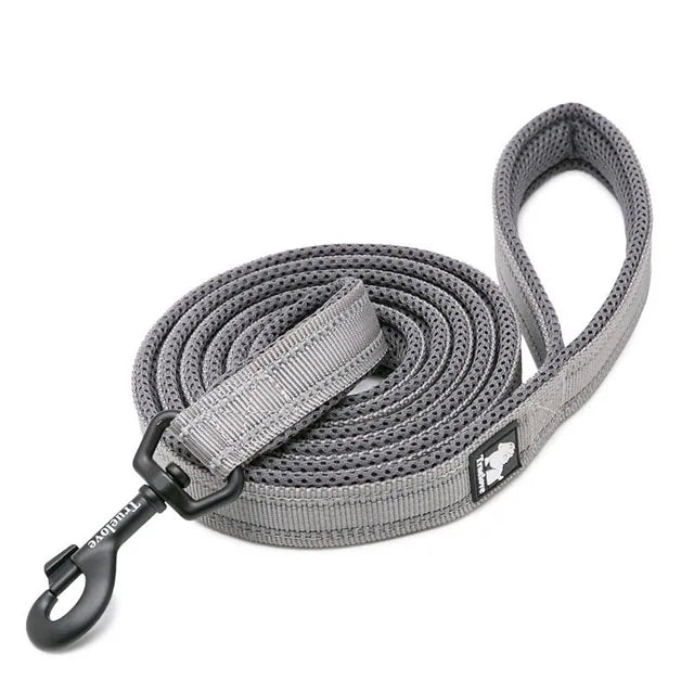 Truelove Soft Padded Mesh Dog Leash 3M Reflective Nylon Dog Leads Dog Pet Leash 11 Color 110cm Length Walking Training - PST PS Tradings