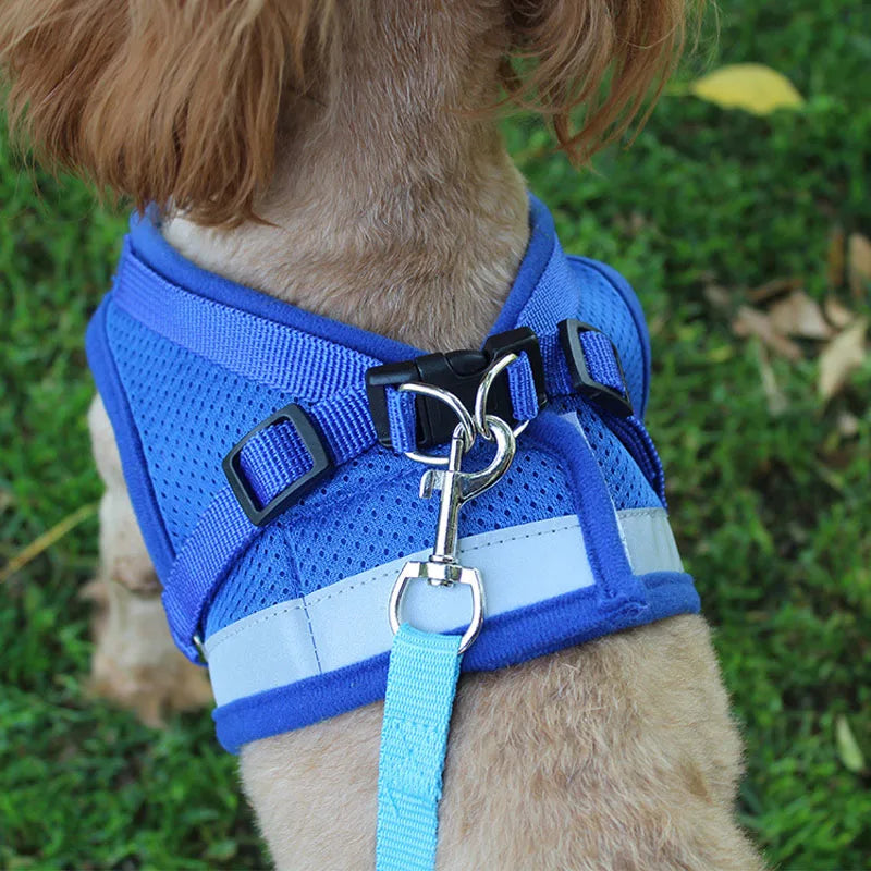 Reflective Safety Pet Dog Harness and Leash Set for Small Medium Dogs Cat Harnesses Vest Puppy Chest Strap Pug Chihuahua Bulldog - PST PS Tradings