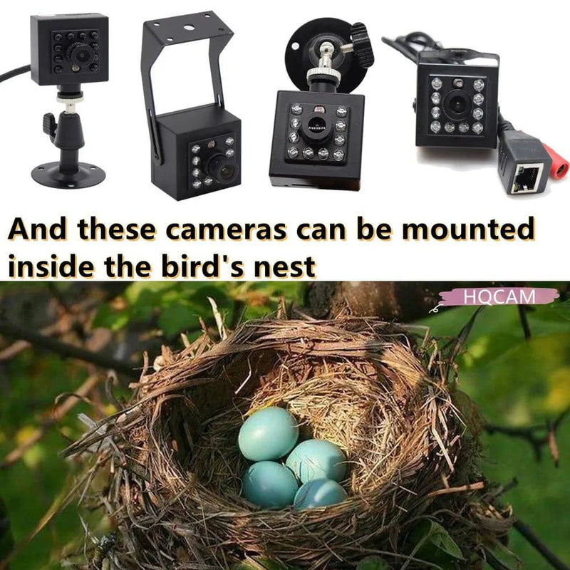 HQCAM Camhi 1920P 1080P Mini Waterproof IP66 TF card slot IR Night Vision IP Camera Wifi Outdoor Car & Vehicle Fleet & Bird Nest - Property & Safety Tradings