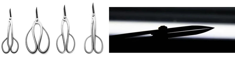 professional grade 180 mm long handle scissors 4Cr13MoV Alloy Steel bonsai tools from TianBonsai