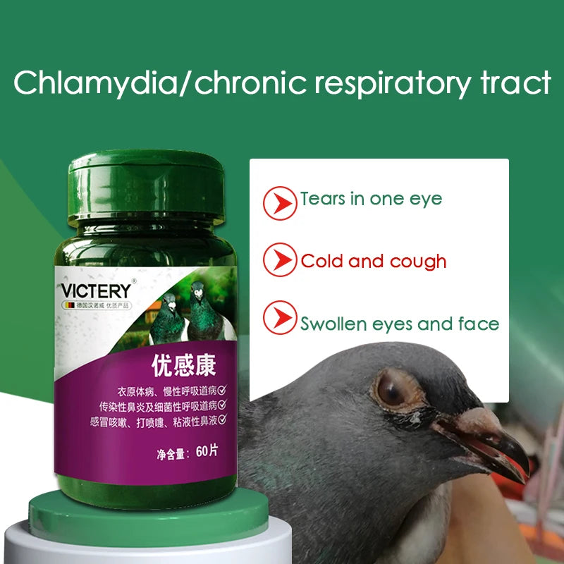 Pigeon Chlamydia Chronic Respiratory Fever Bird Parrot Pigeon Medicine 60 Tablets - PST PS Tradings