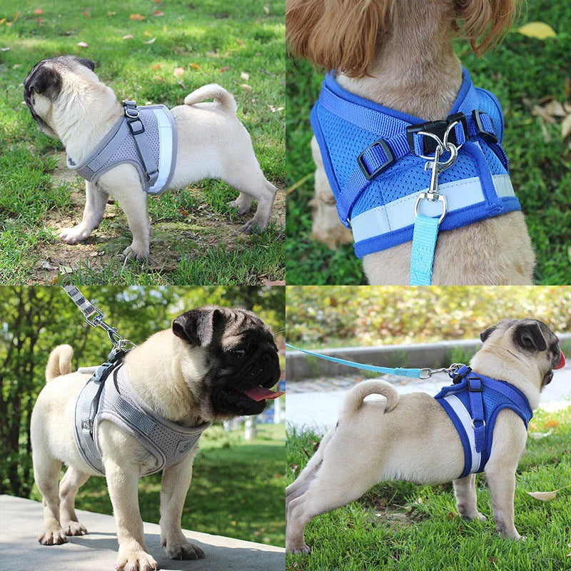 Reflective Safety Pet Dog Harness and Leash Set for Small Medium Dogs Cat Harnesses Vest Puppy Chest Strap Pug Chihuahua Bulldog - PST PS Tradings