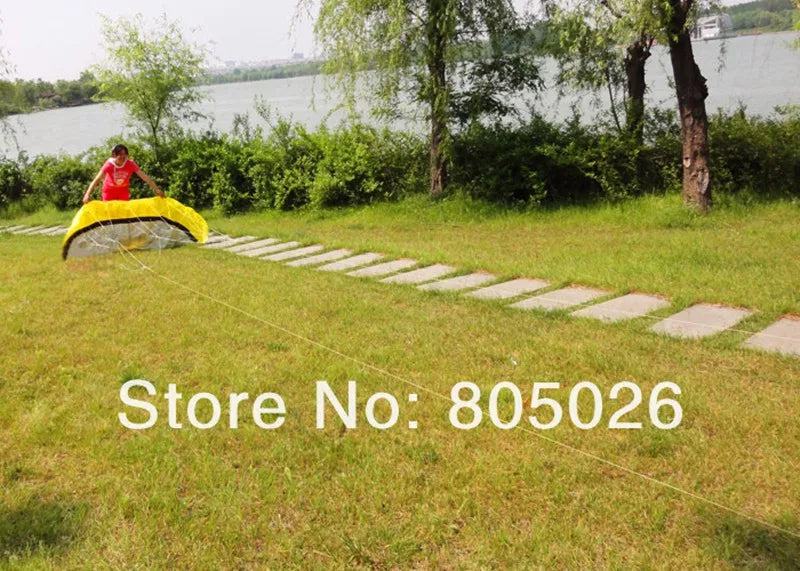 free shipping 2.5m dual Line Stunt power Kite soft kite Parafoil kite surf flying outdoor fun sports kites kiteboard factory koi