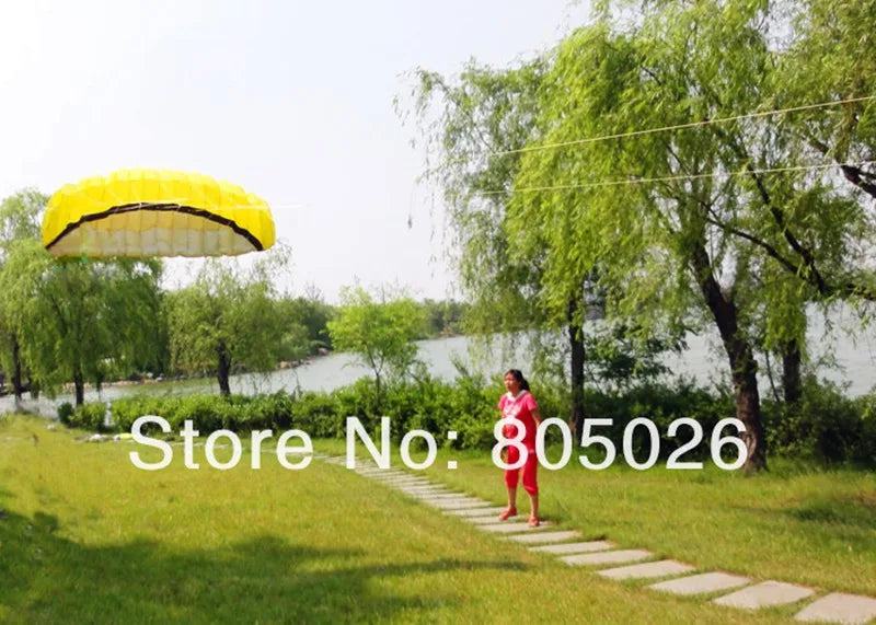 free shipping 2.5m dual Line Stunt power Kite soft kite Parafoil kite surf flying outdoor fun sports kites kiteboard factory koi