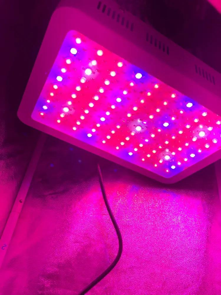 Full Spectrum 300/600/800/1000/1200/2000W LED Plant Grow Light 410-730nm For Indoor Plant Flower Greenhouse Garden Grow Tent Box