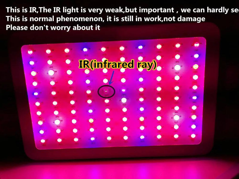 Full Spectrum 300/600/800/1000/1200/2000W LED Plant Grow Light 410-730nm For Indoor Plant Flower Greenhouse Garden Grow Tent Box