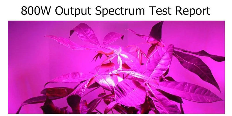 Full Spectrum 300/600/800/1000/1200/2000W LED Plant Grow Light 410-730nm For Indoor Plant Flower Greenhouse Garden Grow Tent Box