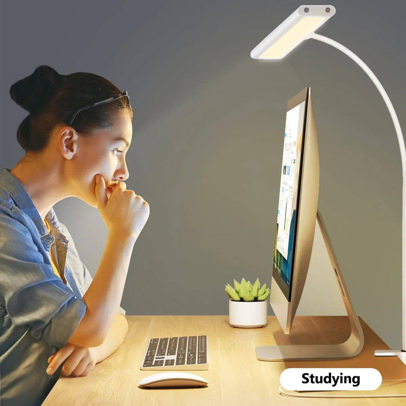 LED Desk Lamp for Office Home, Eye-Caring Desk Light Lamp with Stepless Dimming Adjustable Flexible Gooseneck Adjustable Light - Property & Safety Tradings