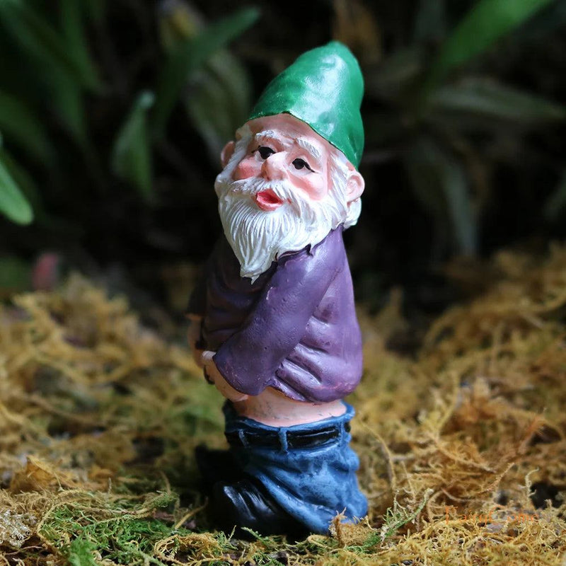 Miniature Fairy Garden Gnomes Figurines Set Resin Animals Mini Small Funny Dwarf Decorations Statues Ornaments Collection Indoor - PST PS Tradings