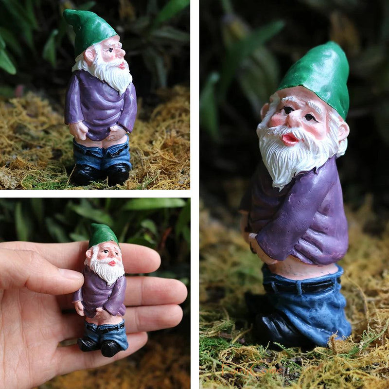 Miniature Fairy Garden Gnomes Figurines Set Resin Animals Mini Small Funny Dwarf Decorations Statues Ornaments Collection Indoor - PST PS Tradings