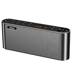 Portable Wireless HiFi Bluetooth Speaker with Microphone