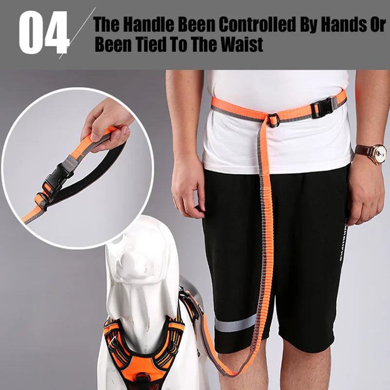 Truelove Dog Running Bungee Leash Hand-held Waistworn Adjustable Nylon Elastic Retractable Dog Leads for Jogging Walking Orange - PST PS Tradings