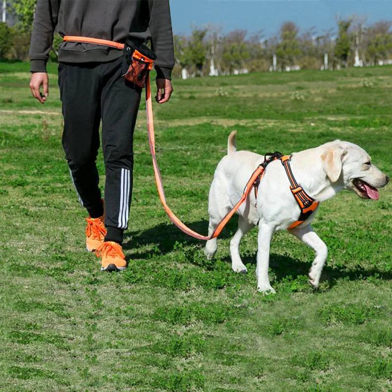 Truelove Dog Running Bungee Leash Hand-held Waistworn Adjustable Nylon Elastic Retractable Dog Leads for Jogging Walking Orange - PST PS Tradings